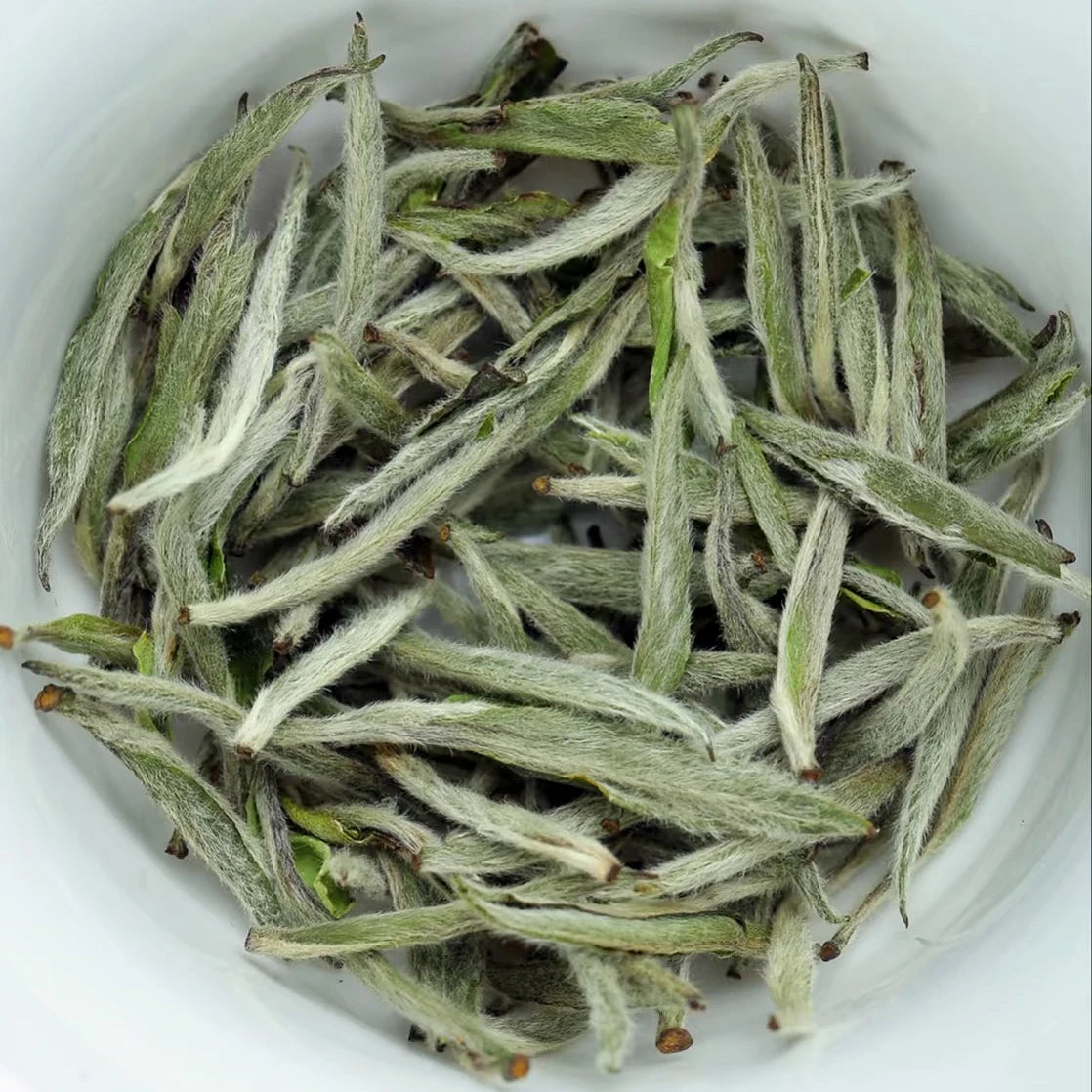 Baihao Yinzhen White Tea ChineseTop Quality Natural Imperial Wholesale Fujian Silver Needle Fu Ding Hand Made Loose Spring Tea