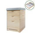 Professional White Painted 2 Layer Langstroth Beehive Fir Wood Pine Wood Bee House