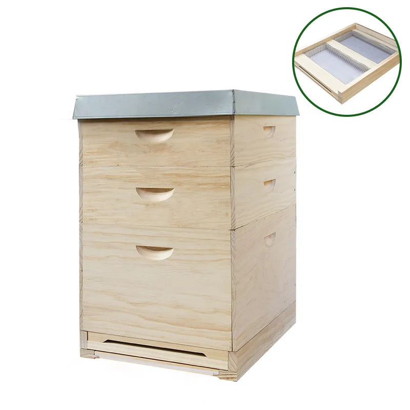 Professional White Painted 2 Layer Langstroth Beehive Fir Wood Pine Wood Bee House