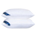 Soft Luxury Pillow Custom Shaped Sleep Pillow for Home