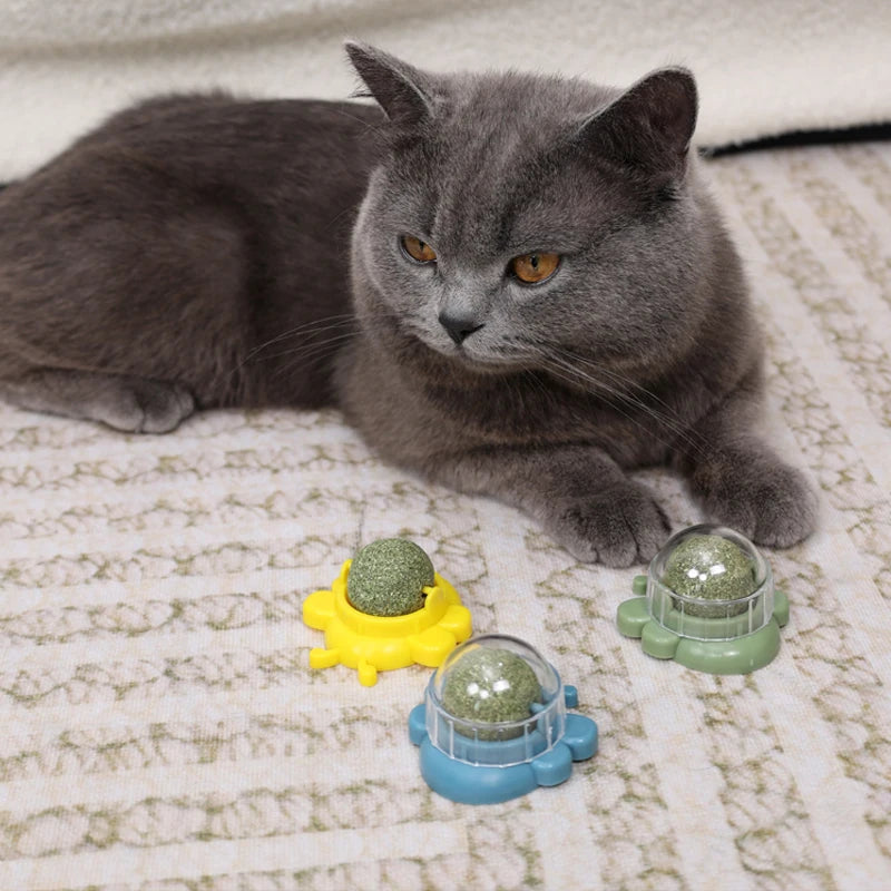 Safe Healthy Kitten Chew Toys Cats Licking Treat Toy Cat Wall Catnip Balls