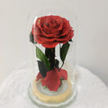 Handmade Preserved Red Roses Whole Glass Dome Long-lasting Real Eternal Roses Valentine's Day Mother's Day Wedding Thanksgiving