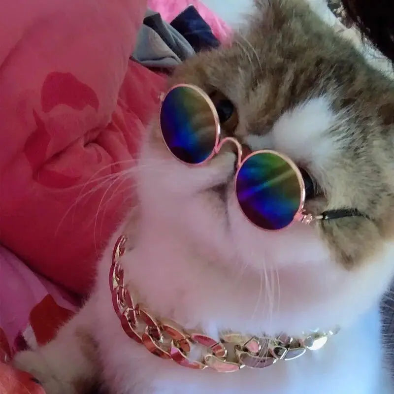 2023 Latest Model Small Dog Pet Sunglasses Fashion Mini  Sun Shades Glasses Cute Custom logo Outdoor Toy Eyewear Wholesale