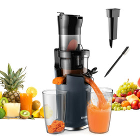 Electric Automatic Household Masticating Slow Cold Press Juicer Reverse Function 800ml Capacity Low Noise High Yield Juice