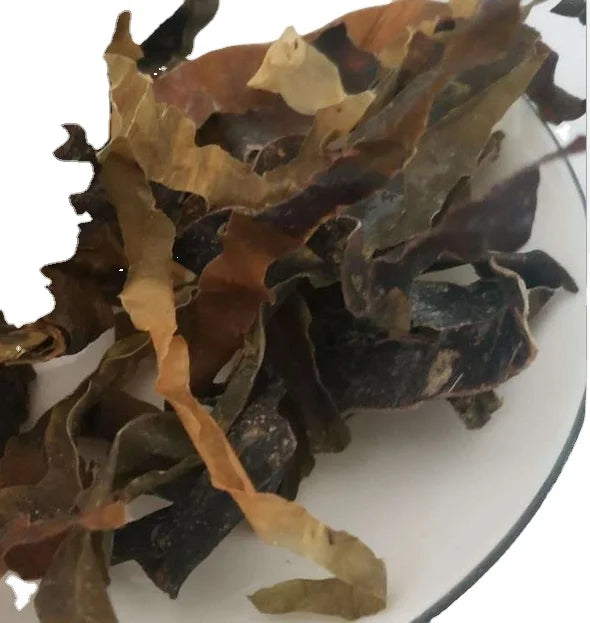 Kun Bu Nautral Cuts Raw Dried Laminariae Eckloniae Thallus Slices for Sea Vegetables