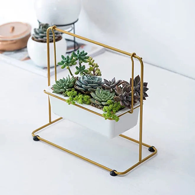 HOT Rectangular Flower Planter Pot Cactus Container Bonsai Pots Succulent Plant Pots With Drainage Hole  Plants Not Included