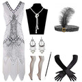 1920s Vintage Sequins Dress Flapper Great Gatsby Fringed Cocktail Party Kleid INSPIRED With Accessories Set