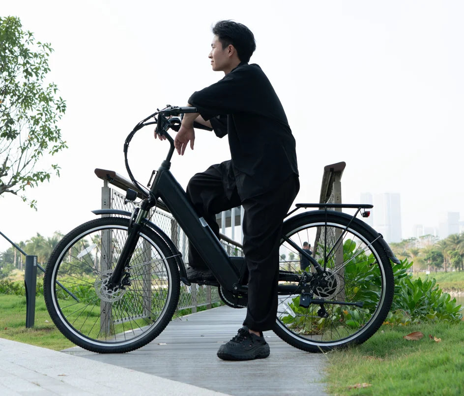 CS20 E-bike 250W EU Warehouse Citybike 28inch Retro Electric Bike Cheap Lady Oil Brake CS20 Ebike VOMO E Bike