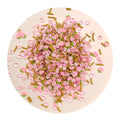 500g/bag Kawaii Pink Artificial Strawberry Clear Jewelry Diamond Pearls Bead Kawii Nail Art DIY Stkers Nail Sequins