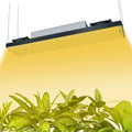Hot Sale 3000K 5000K White Diode 660Nm Red UV IR Full Spectrum LM282B 320W 640W 1000W Led Grow Light