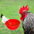 Automatic Chicken Water Drinker Cups Water Drinker Bowl for Poultry Chickens