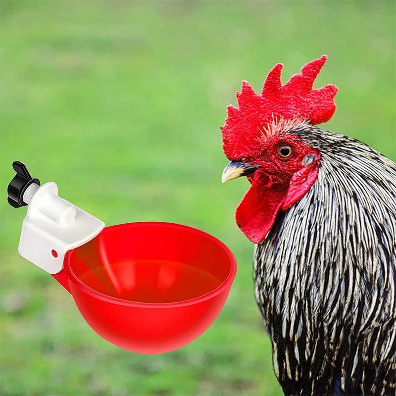 Automatic Chicken Water Drinker Cups Water Drinker Bowl for Poultry Chickens