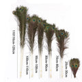 Wholesale 25-140cm Natural Peacock Feathers Peacock Tails Feather for Fly TyingCarnival Backpack Costume Home Decorations