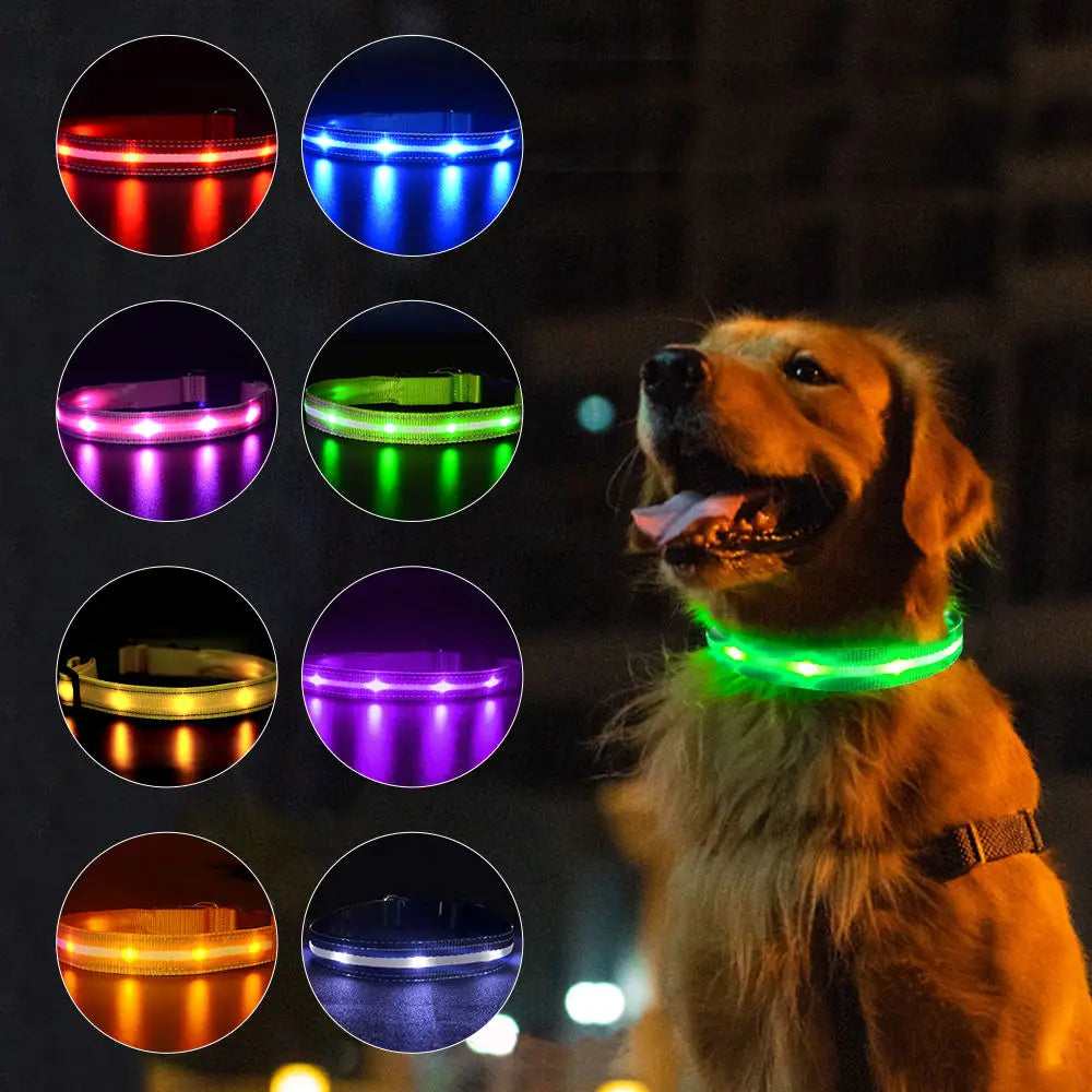 RM LED Lights Dog Collars Adjustable Polyester Glow in Night Safe Luminous Flashing Necklace 16-24inch