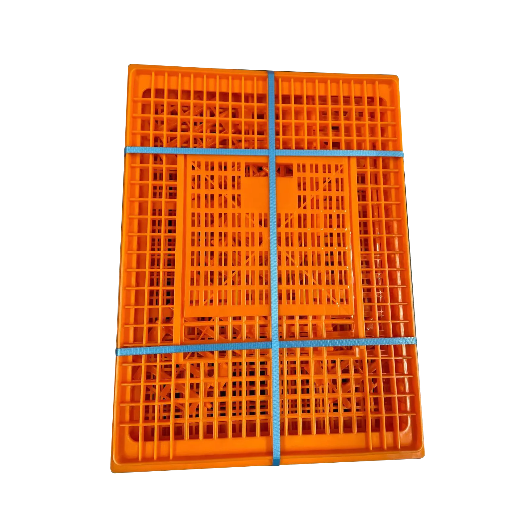 Berys 75x55x29cm Live Chicken Transport Crates H-Type Plastic Animal Cages New 10-12 Chickens Capacity Long Service Life