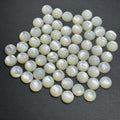 Synthetic Lapis Turquoise Coral Natural White Mother of Pearl Shell Round Cabochon Gemstones