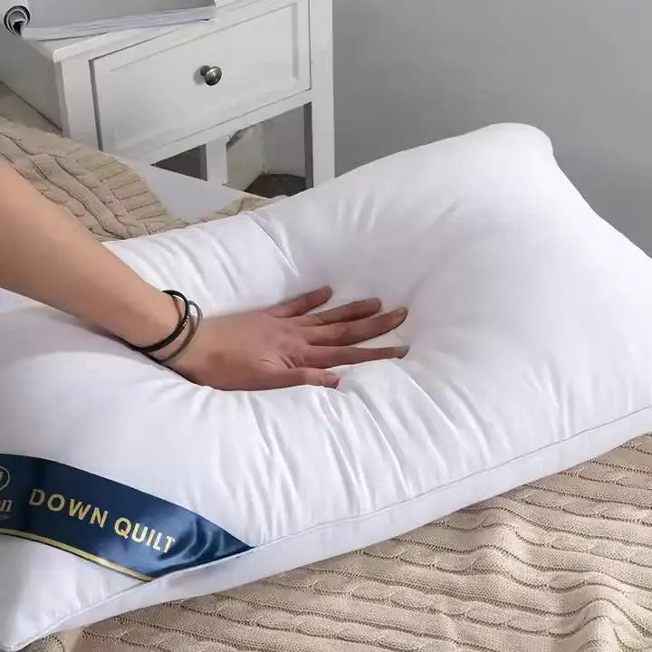 Wholesale Memory Luxury Bed Pillow Soft Fill Down Hotel Bed Sleeping Hilton Pillow 650g