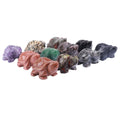 5cm Natural Hand Carved Animal Crystal Sculpture Fluorite Turtle Eco-Friendly Chenyi