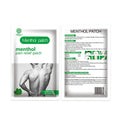 New Products Pain Chinese Porous Patch for Back Pain