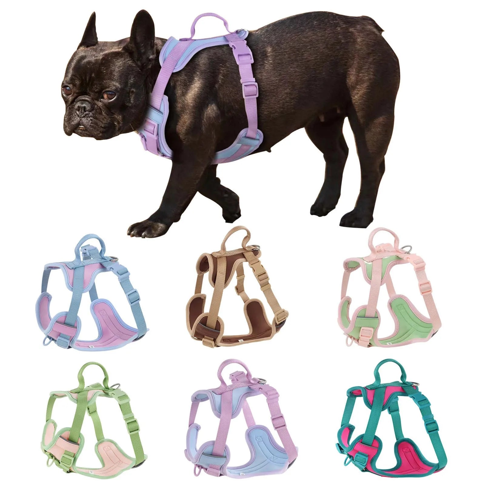 Luxury Pet Harness New Nylon Dog Vest Reflective Sport Fashion Cartoon Styles Breathable Adjustable Fur for Dog Walking