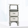 Factory High Loading Capacity Rotating  Large Capacity Beauty Salon Trolley