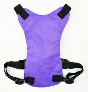 Wholesale Mesh Breathable Seat Belt Dog Harness
