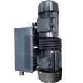 3KW Single-Stage High Pressure 100m³/h Oil-Sealed Vacuum Pump with AC Motor CNC Compatible -100KPa 380V Customizable OEM