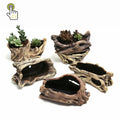Wholesale Cheap Best Design Old Root Wood Flower Pots Natural Plant Pots Hot Sale Pots