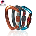 Heavy Duty 25KN D Shape Carabiner Aluminium Alloy Snap Hook Clip for Industrial Use Plain Finish OEM Model for Mountain Climbing