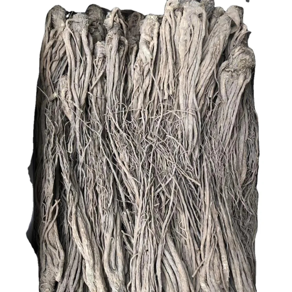 Dang Gui Famous Chinese Angelica Whole Roots Single Spices & Herbs for Tea Direct Sale From China
