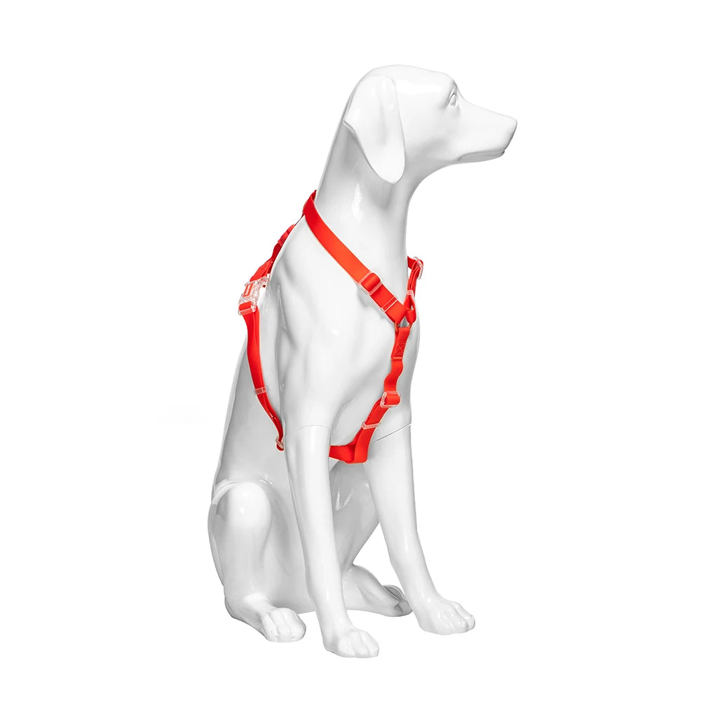 G4-W China Supplier Pet Animal Shop Display Mannequin Dog Mannequin for Sale