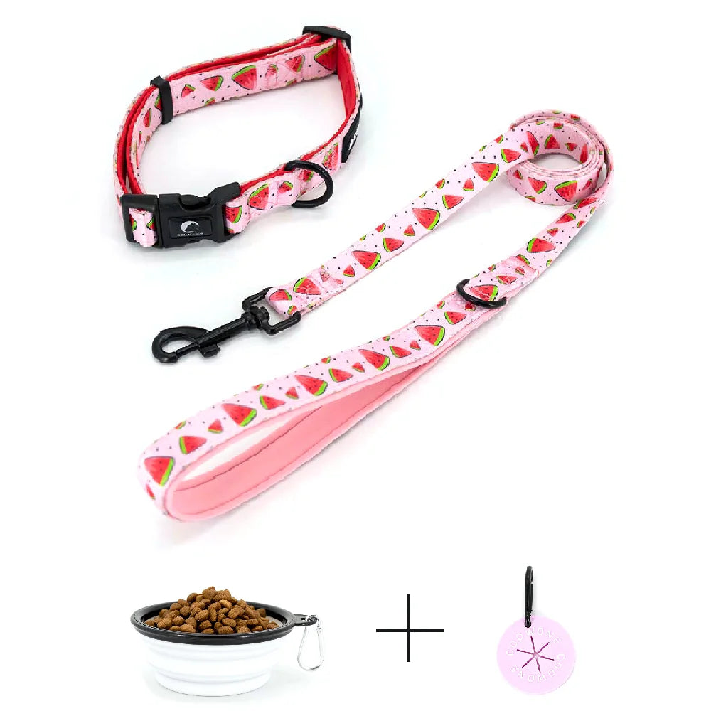 Personalized Dog Leash Webbing Dog Harness Set Custom Adjustable Dog Harness Leash Collar Bandana Bow Tie Pet Harness