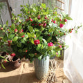 90cm Unique Design Artificial Flower Long Branch Camellia Rose Flower