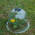Durable Transparent 26*20 cm Cover Dome Bell Model for Crop Seeds Plastic Plant Garden Nursery Tray Lid