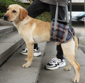 Wholesale Male Dog Diaper Wrap with Leash for Walking