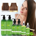 Wholesale 100% Organic Nourishing Moisturizing Anti-Dandruff Anti-Frizz Refreshing Smoothing 2-in-1 Tea Tree Oil Hair Care Set