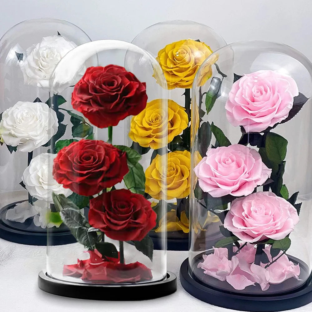 Hot Sale Forever Eternal Rose Flower Preserved Roses in Glass Dome for Mother's Day Valentine's Day Gift Decorative Elegant