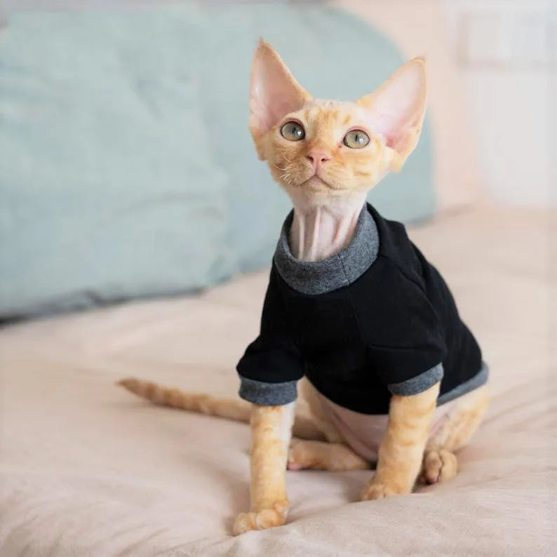 Wholesale Stocked Cat Dog Sweatshirts Pet Sweater
