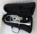 Top-Class Professional Tenor and Alto Trumpet Economical Silver-Plated Eb Horn for Sale