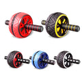 ZJFIT Ab Wheel and Knee Mat Set Economical Bodybuilding and Muscle Exercise Gym Equipment for Abdominal Roller Training