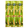 3Pack Natural Plant Teeth Miswak Sticks-Vacuum Sealed Traditional Oral Care Twigs with Mint Flavor for Fresh Breath