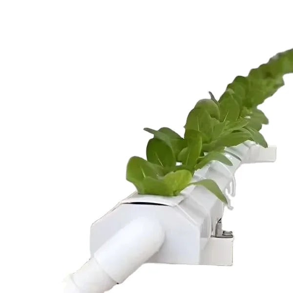 Patented Style Slotted White Hydroponic PVC Channel 100*50mm NFT  System Leafy Greens Hydroponic Tube
