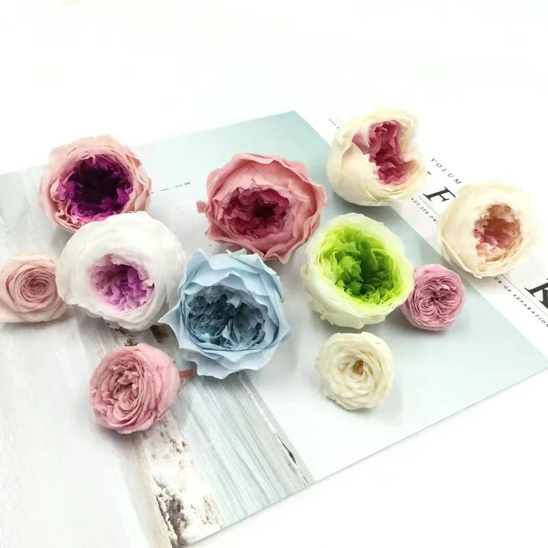 Focus Wholesale Preserved 2-3cm Rose Head High Quality Eternal Rose for Valentine's Day Christmas & Thanksgiving Gifts and DIY