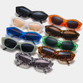 Fashionable Cat Eye Sunglasses Customized Logo Brand Designer Geometric PC Sunglasses for Women Men