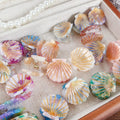 Cute Shell Small Acetic Acid Clip Mermaid Light Luxury Temperament Broken Hair Clip Fashion Everything Mini Shark Clip