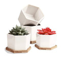 Dropship 2.8 InchesWhite Hexagonal Ceramic Succulent Plant Pots Succulent Planter Small Flower Pots With Bamboo Trays for Cactus
