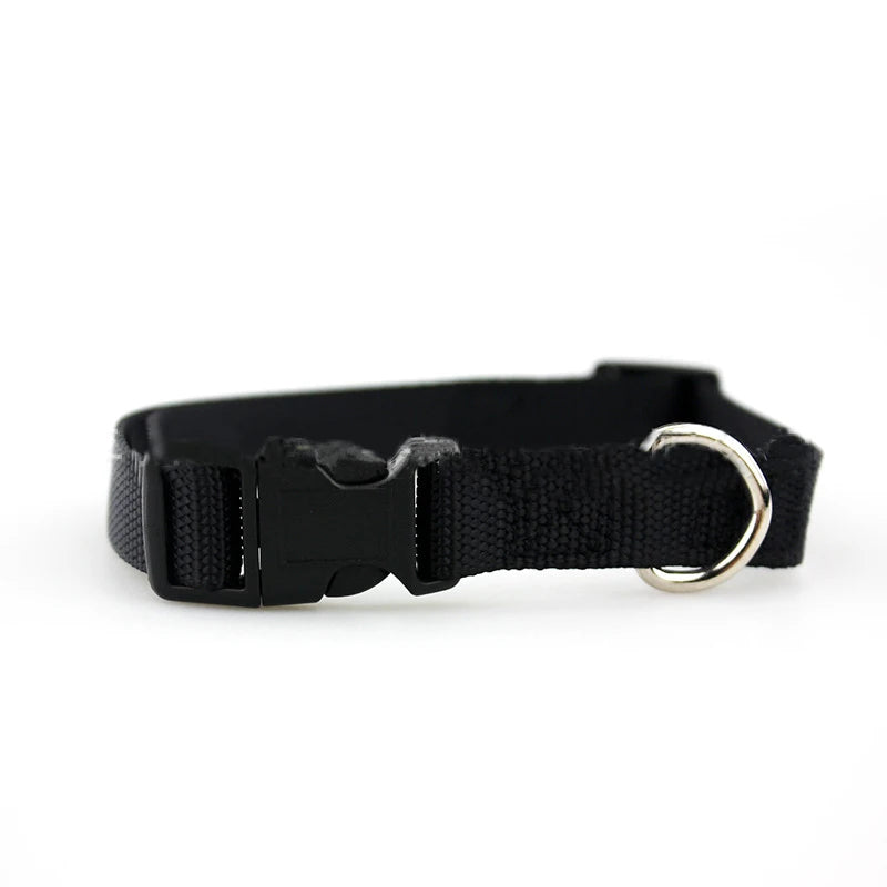Kingtale Dog Collar Pet Collars Nylon Dog Leash Design Personalized Wide Small Adjustable Classic Quick Release Solid 100pcs