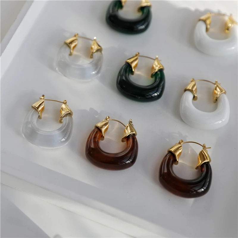 Chunky Clear  Resin Tiger Eye Resin Hoop Earring  Statement Stainless Steel Earring Big Earring Waterproof