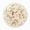100% Natural Dried Jasmine Flowers Snowball Jasmine Tea Dried Jasmine Hengxian Guangxi Mo Li Hua Large Flower Herbal Tea