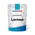 High-Activity Lactase Enzyme Powder | Low-Lactose Dairy Processing | Fungal-Derived Enzyme